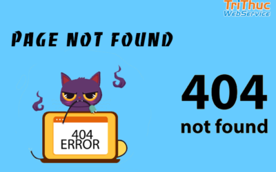 Lỗi 404 not found là gì? Nguyên nhân và cách khắc phục